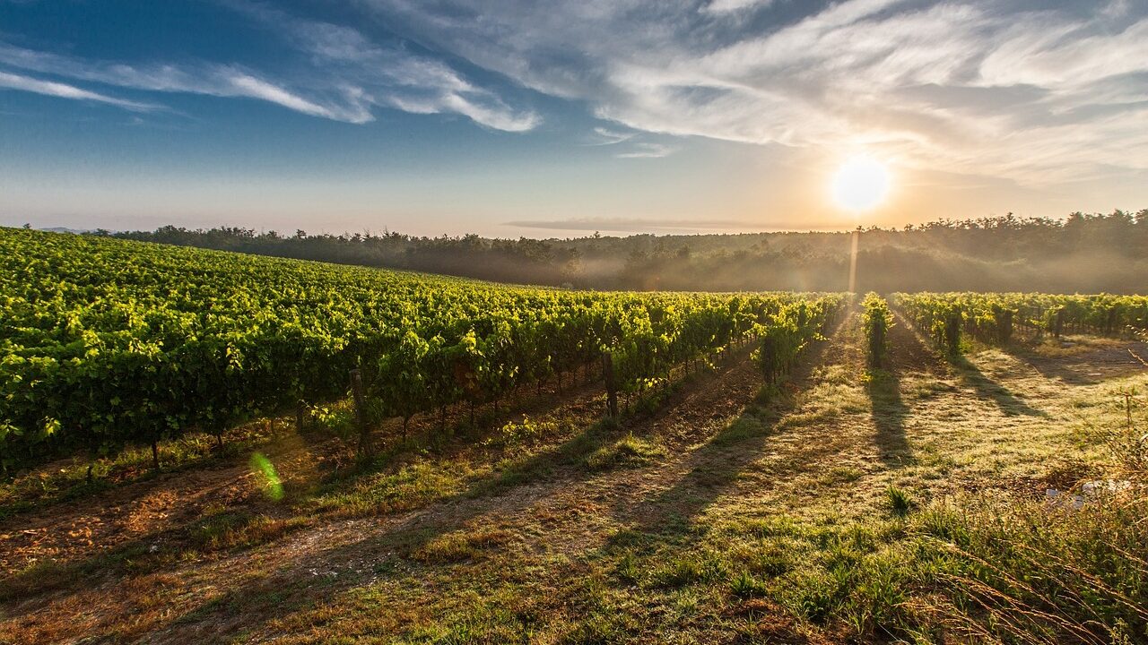 Ces formations publiques infiltrées par la biodynamie