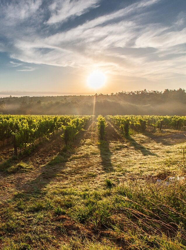 Ces formations publiques infiltrées par la biodynamie