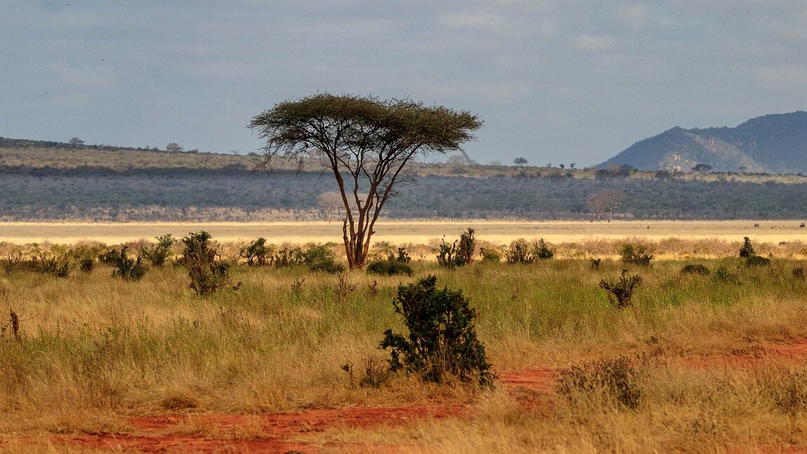 Kenya : Malindi toujours ébranlée par le massacre de Shakahola