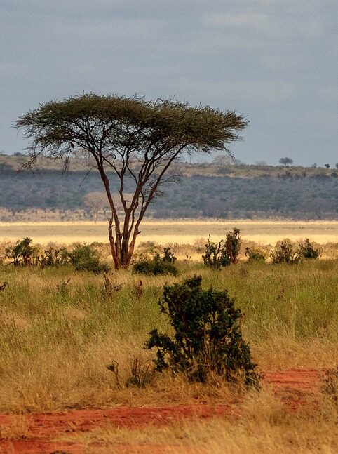 Kenya : Malindi toujours ébranlée par le massacre de Shakahola