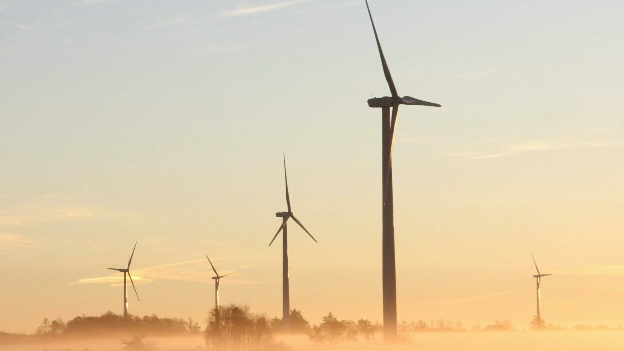 De la géobiologie sur les chantiers éoliens