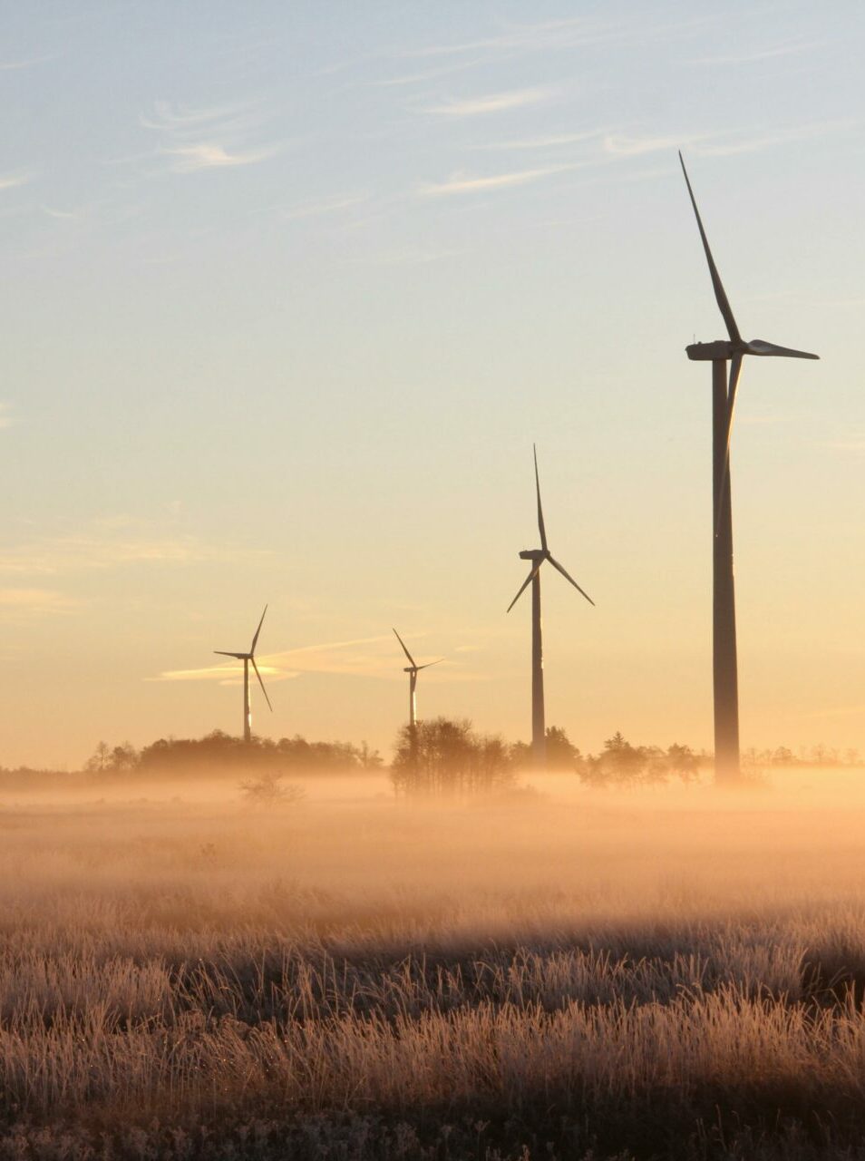 De la géobiologie sur les chantiers éoliens