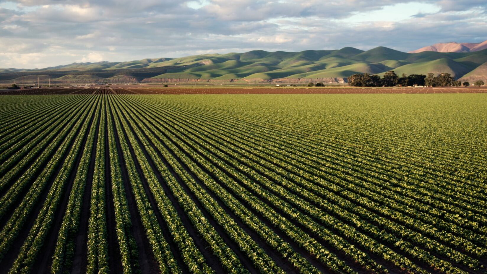 Salon de l’agriculture : ces étranges formations ésotériques subventionnées par l'Etat