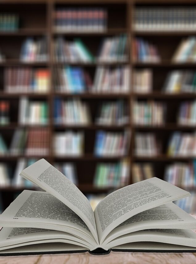 Comment les librairies peuvent jouer un rôle dans la santé mentale des Français