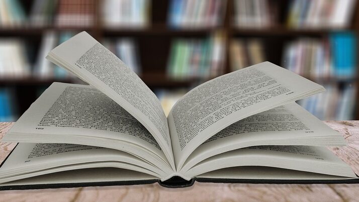 Maple, survivante du mouvement sectaire JMS publie un livre pour raconter son histoire