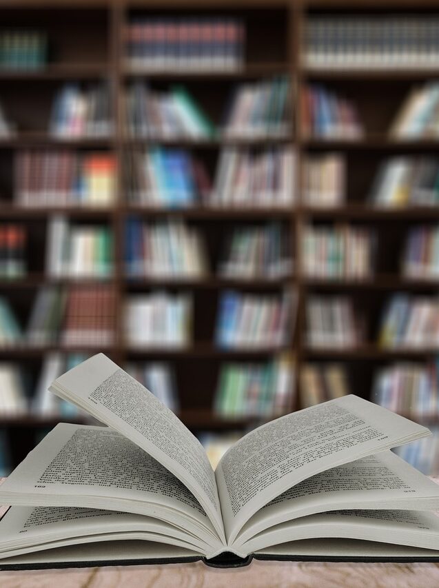 Maple, survivante du mouvement sectaire JMS publie un livre pour raconter son histoire