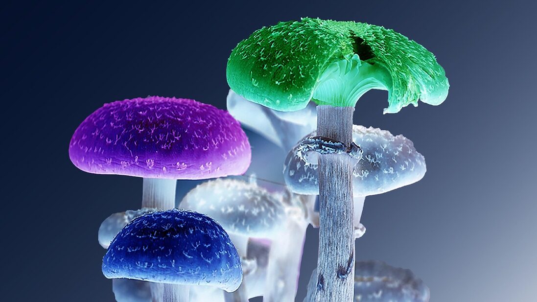 Des retraites sous hallucinogènes dans le collimateur de la justice 