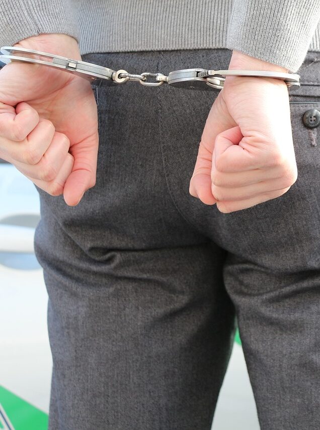 Ce que l'on sait après l'arrestation d'un homme qui voulait piloter des attentats contre Angela Merkel et Olaf Scholz