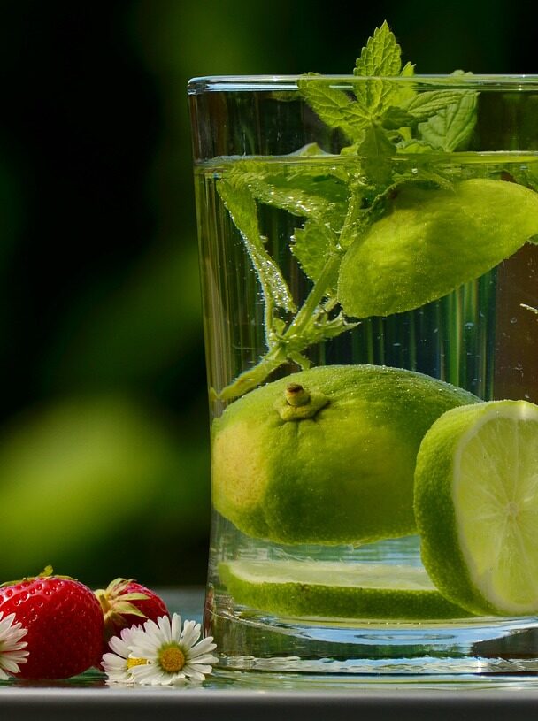 Gabriel Shemirani, sa sœur jumelle Paloma, morte d'un cancer du sang à 23 ans