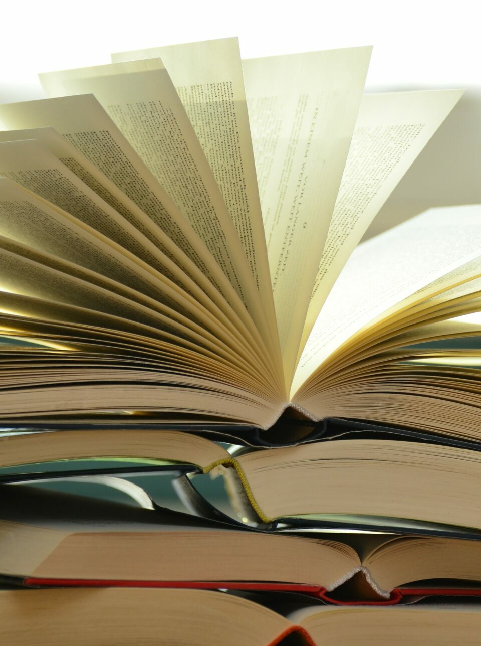 Enfance sous emprise : démonter la mécanique du fanatisme et de l'extrême droite