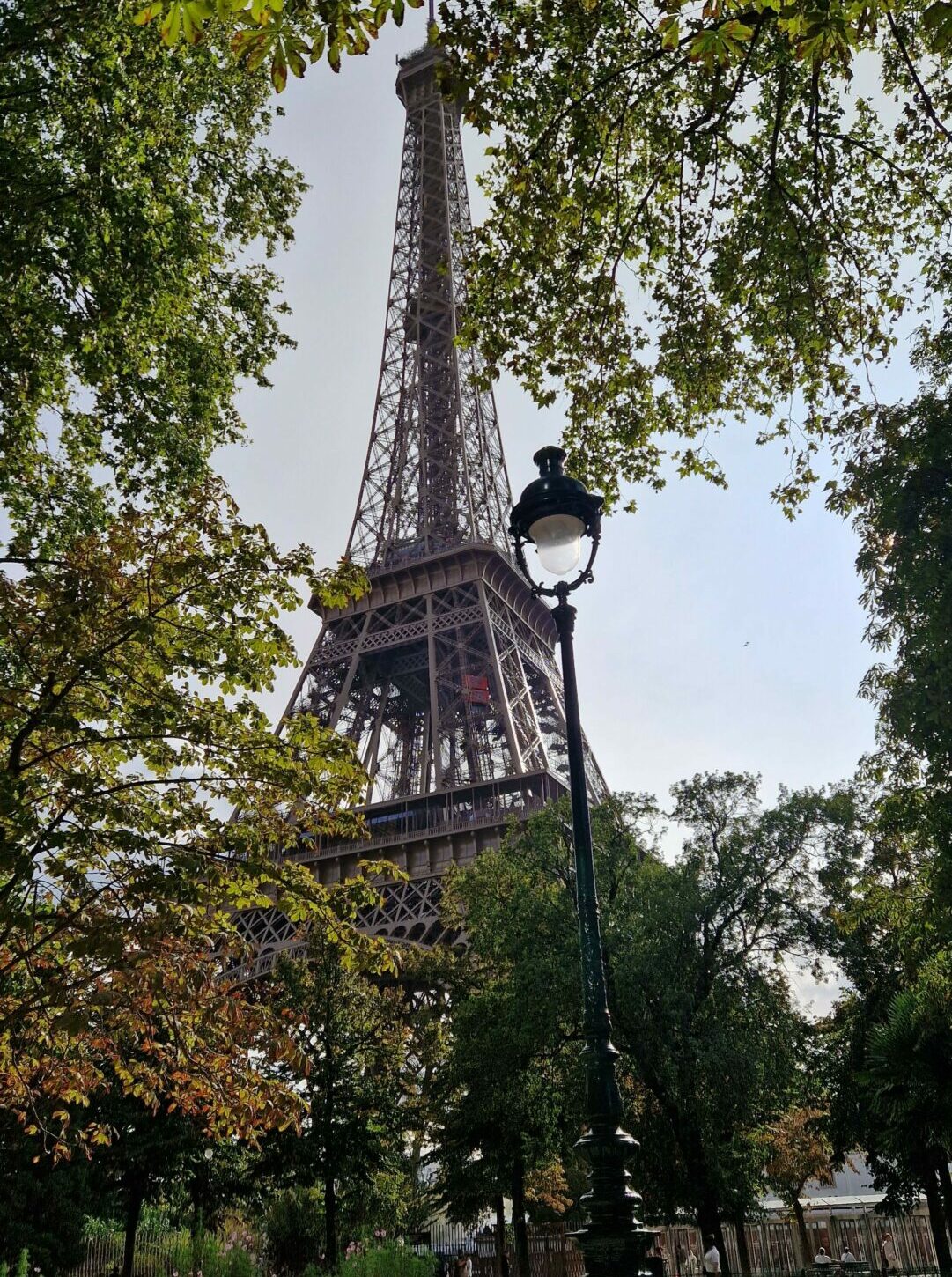  Pourquoi les salariés de la tour Eiffel sont en grève ? 